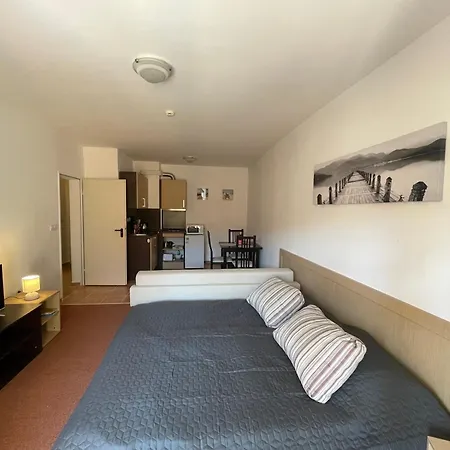 Marina Cape Sp Private Apartament Aheloy